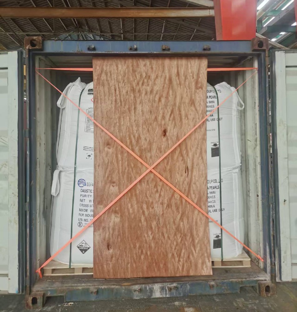 The First Week Back: Fast-Paced and Fully Operational`